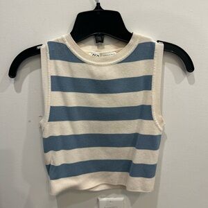 Zara White and Blue stripes muscle tee